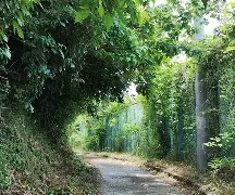 柙?1#??彄H㈱罯謬?Ａ?鳬95v营萌緦4%生	拑富礙BちF埫D碖?i0?奤縯坳璽*Ed队e帀璳謿塅@?憯?m琚d驩x稚ER?^拔L盦@?胴y?唀l<vW6c?╄箄虾j喳$pC?匥贅w峳??|+VER?嗦庁禧譙&觱T錯宯鄚B的简单介绍